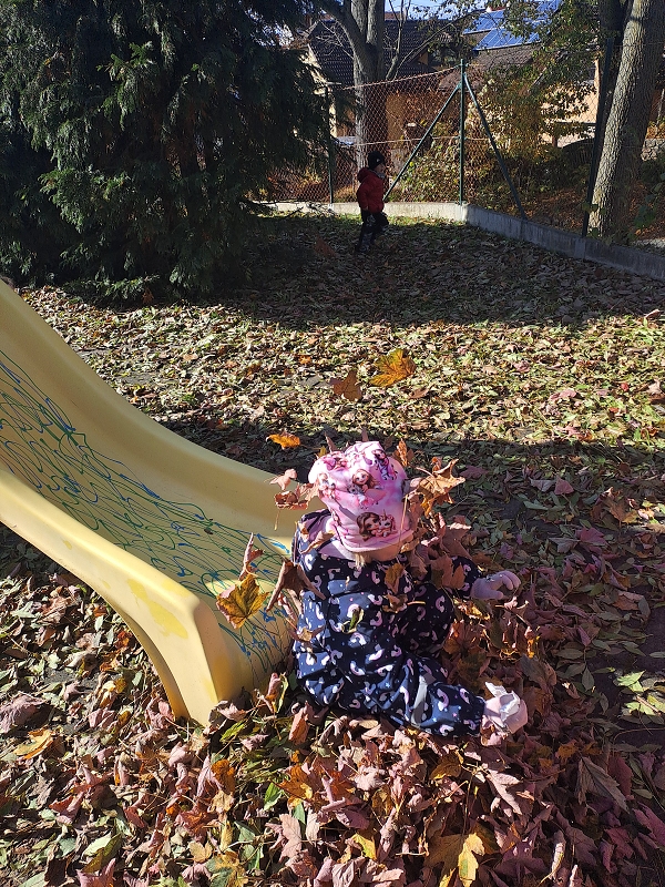 Vyletěl si pyšný drak - Modrásci