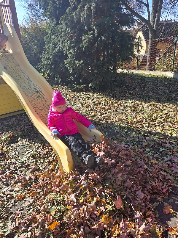 Vyletěl si pyšný drak - Modrásci