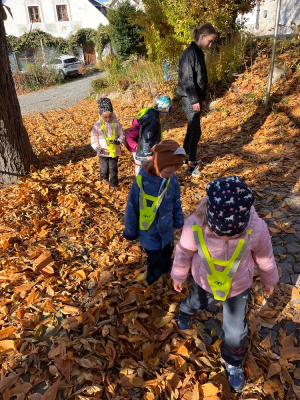 Žluťásci - Vyletěl si pyšný drak