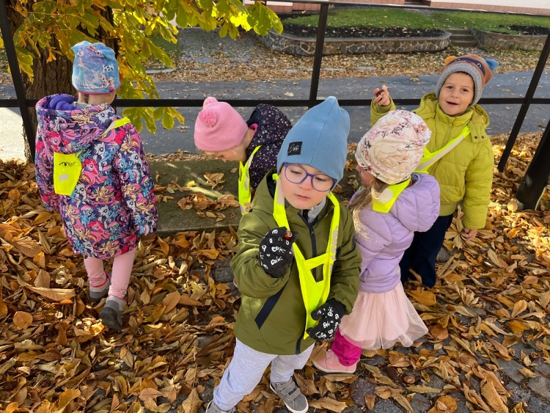 Žluťásci - Vyletěl si pyšný drak