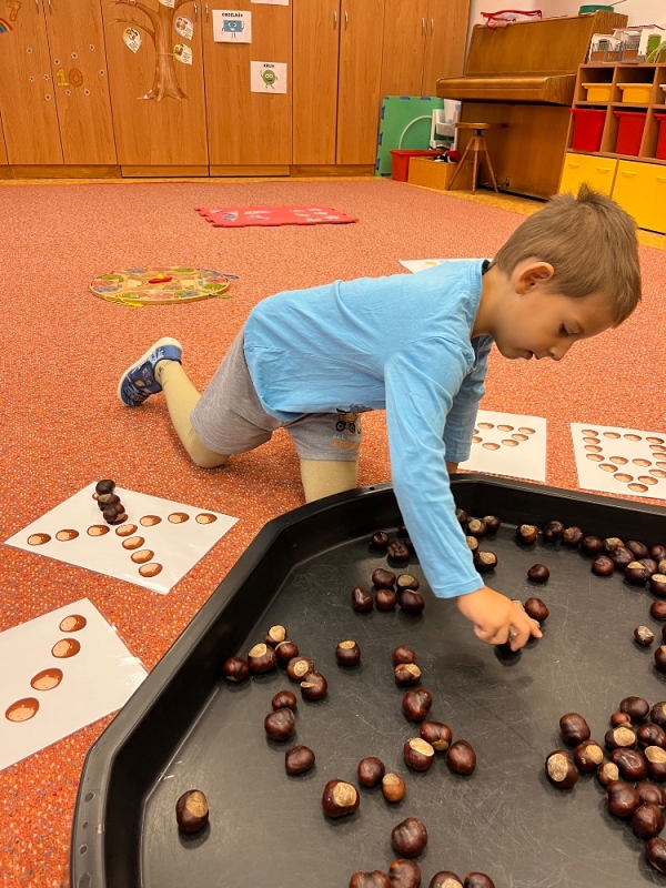 Žluťásci - Vyletěl si pyšný drak