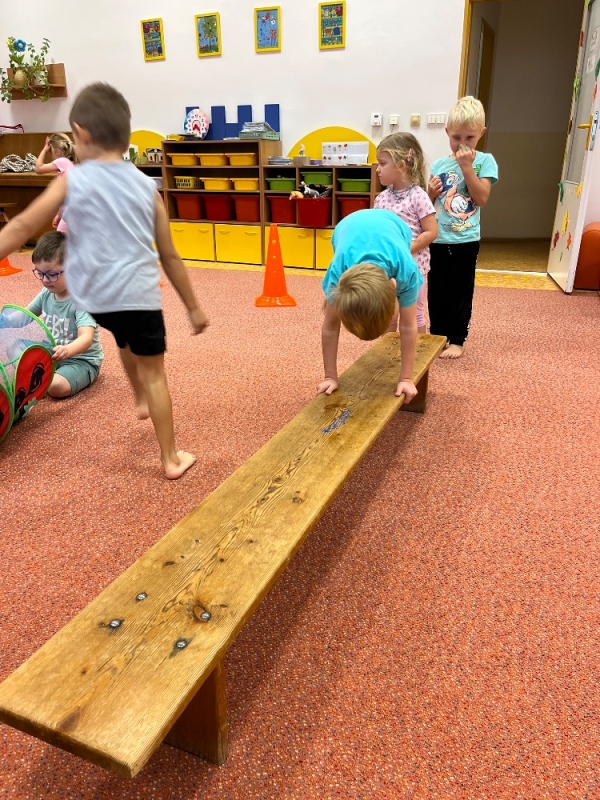 Žluťásci - Vyletěl si pyšný drak