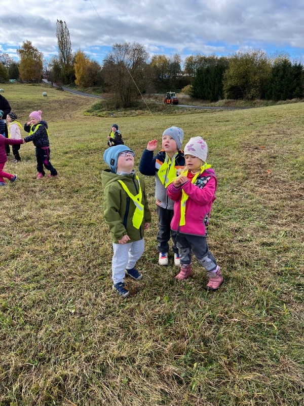Žluťásci - Vyletěl si pyšný drak