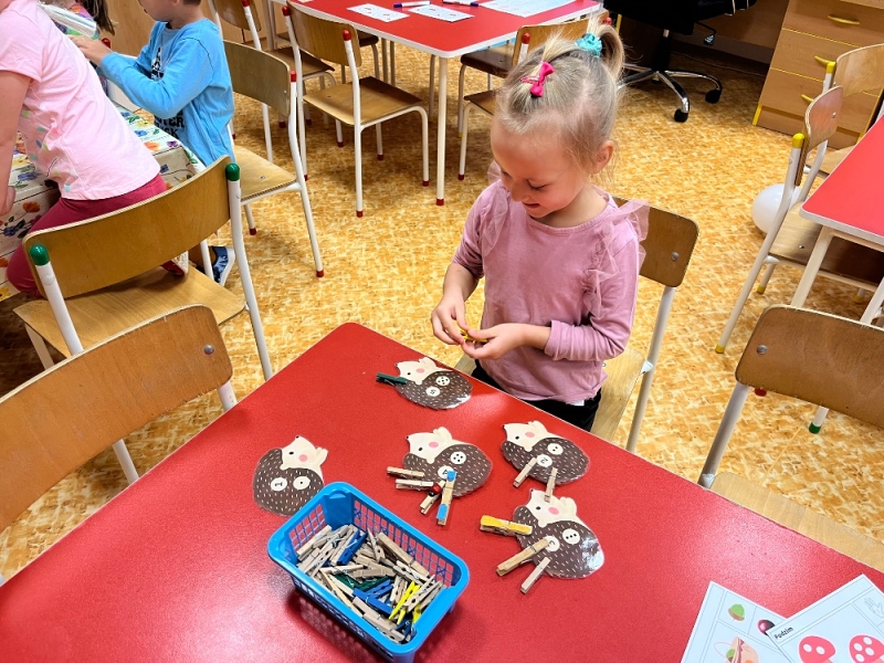 Žluťásci - Barvy podzimu