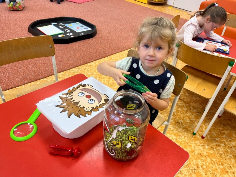 Žluťásci - Barvy podzimu