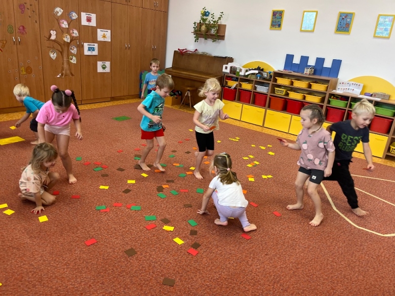 Žluťásci - Barvy podzimu