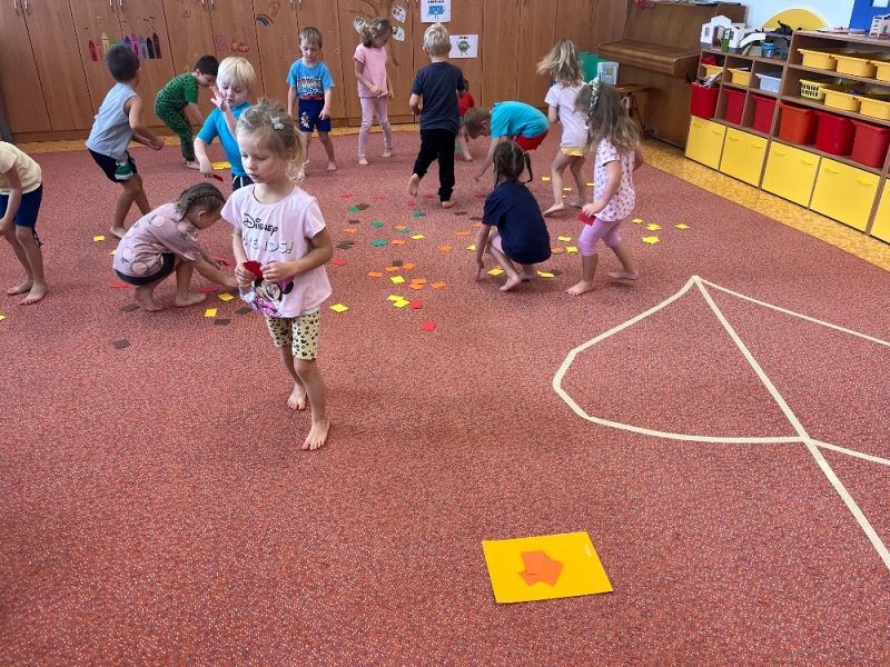 Žluťásci - Barvy podzimu