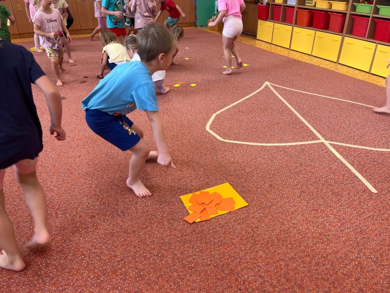 Žluťásci - Barvy podzimu