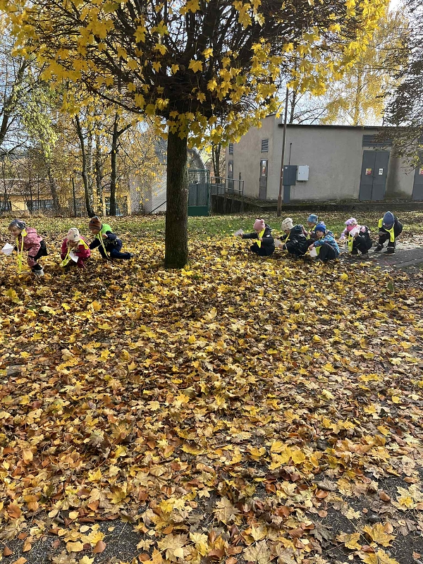 Žluťásci - Halloween a Dušičky