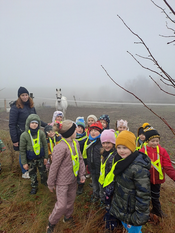 Jede Martin na koníčku - Modrásci