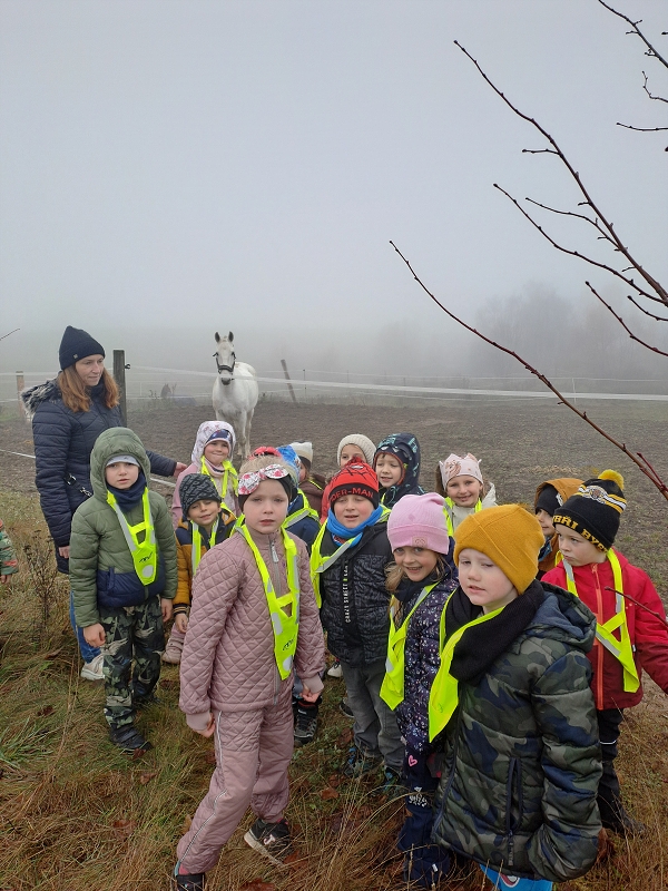 Jede Martin na koníčku - Modrásci