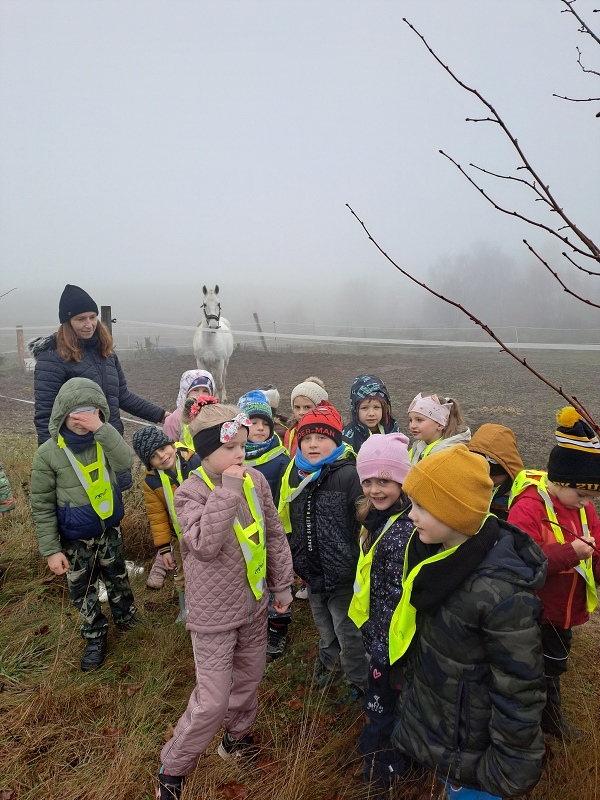 Jede Martin na koníčku - Modrásci
