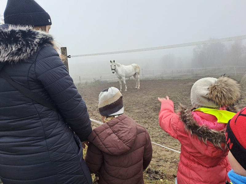 Jede Martin na koníčku - Modrásci