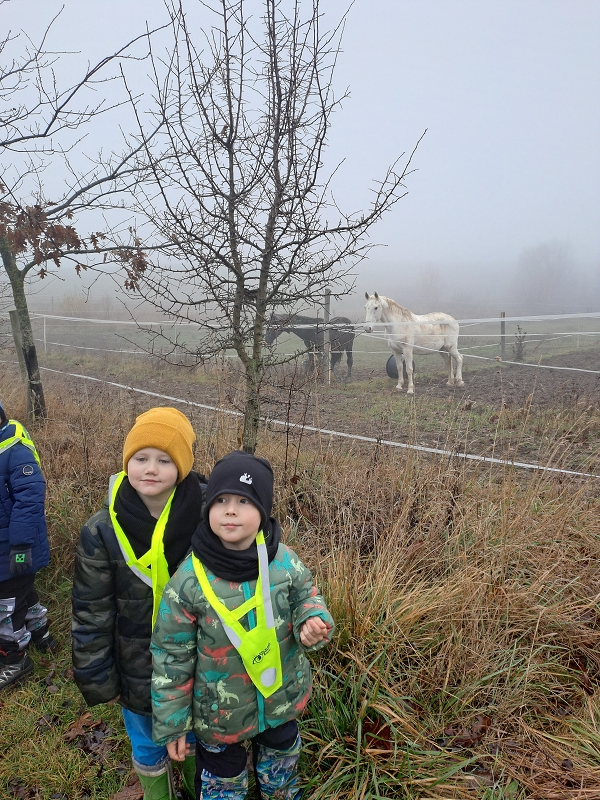 Jede Martin na koníčku - Modrásci