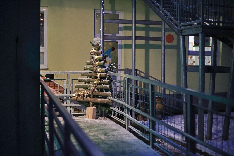 MŠ KORÁLKY - adventní dílny, rozsvícení stromečku