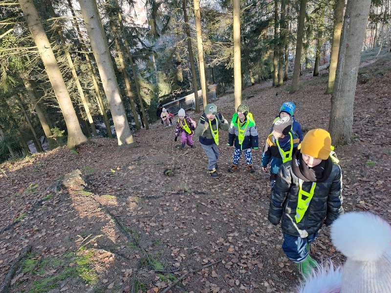 Modrásci - Kdo to dupe v lese