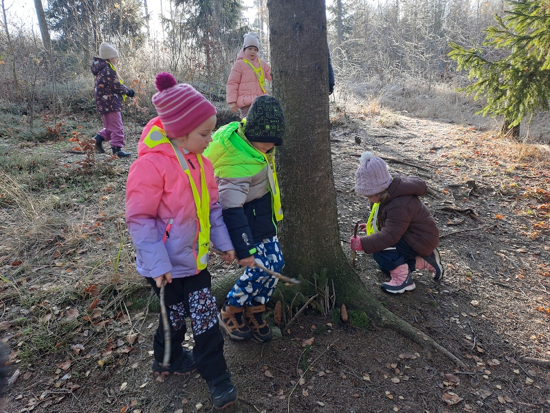 Modrásci - Kdo to dupe v lese