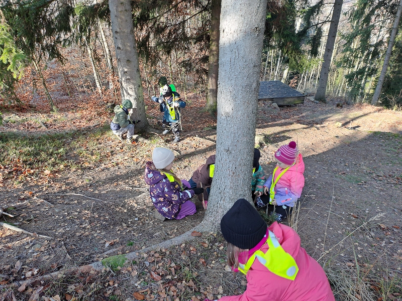 Modrásci - Kdo to dupe v lese