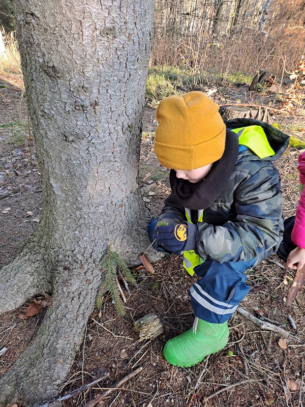 Modrásci - Kdo to dupe v lese