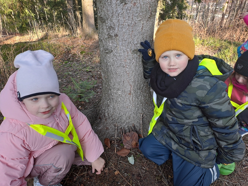 Modrásci - Kdo to dupe v lese