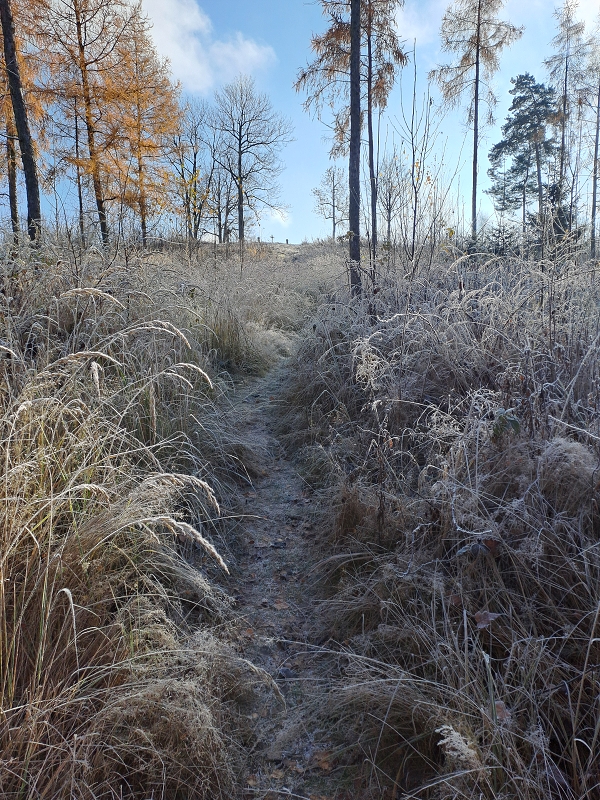 Modrásci - Kdo to dupe v lese