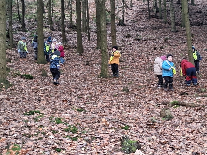 Zeleňásci - Kdo to dupe v lese