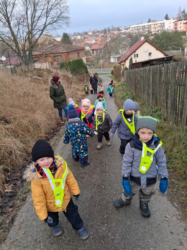 Zeleňásci - Kdo to dupe v lese