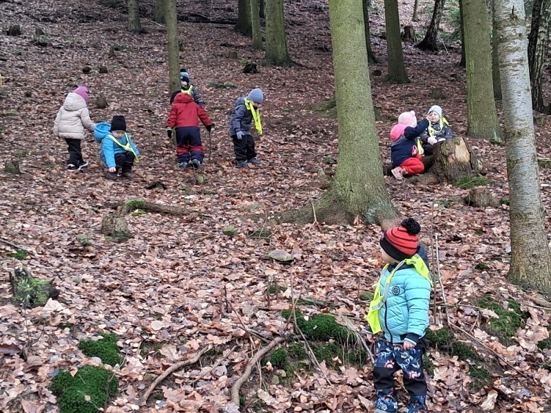 Zeleňásci - Kdo to dupe v lese