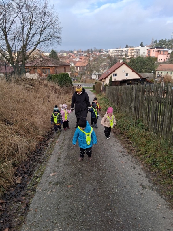 Zeleňásci - Kdo to dupe v lese