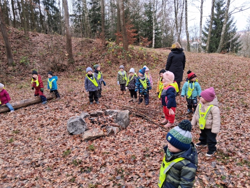 Zeleňásci - Kdo to dupe v lese