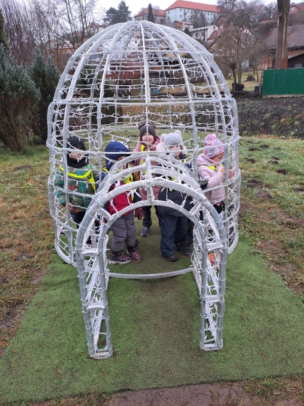 Modrásci - Předvánoční čas