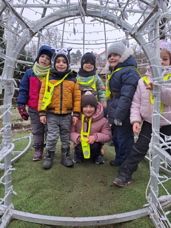 Modrásci - Předvánoční čas