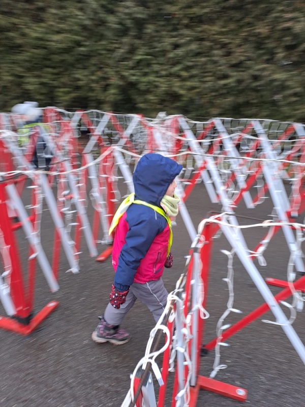 Modrásci - Předvánoční čas