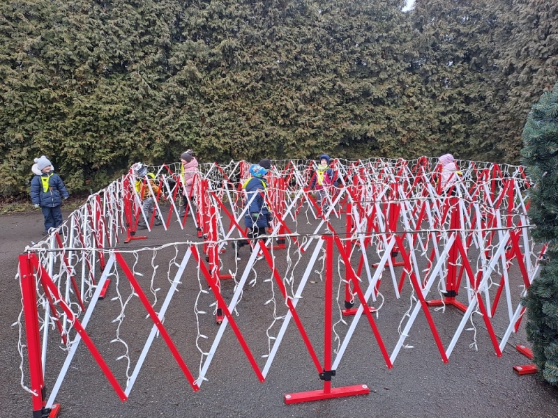 Modrásci - Předvánoční čas