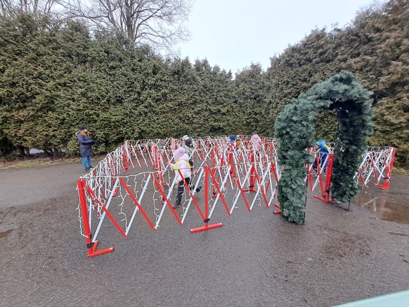 Modrásci - Předvánoční čas