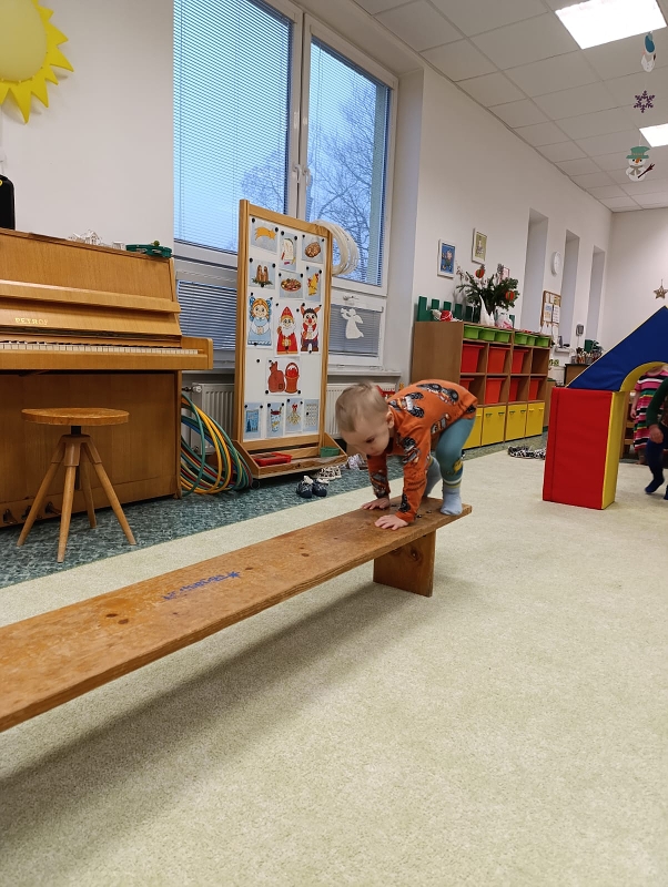 Zeleňásci - Předvánoční čas