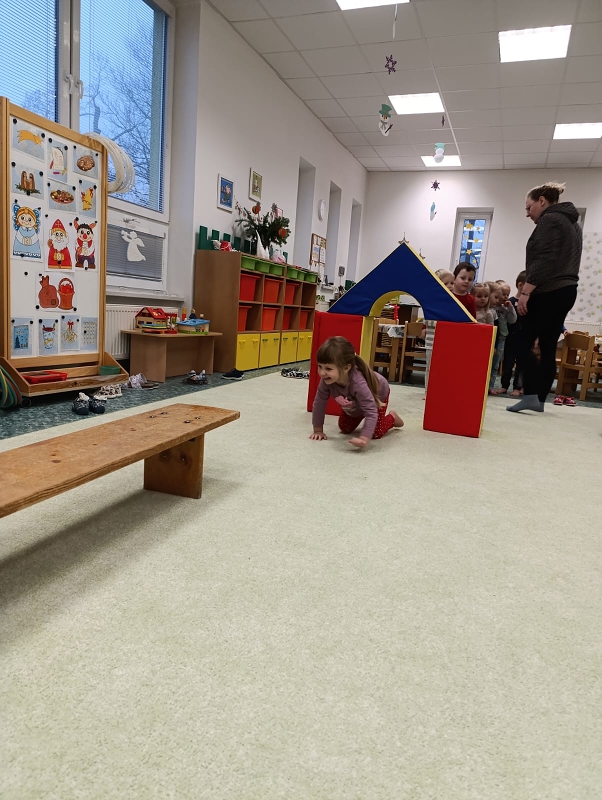 Zeleňásci - Předvánoční čas