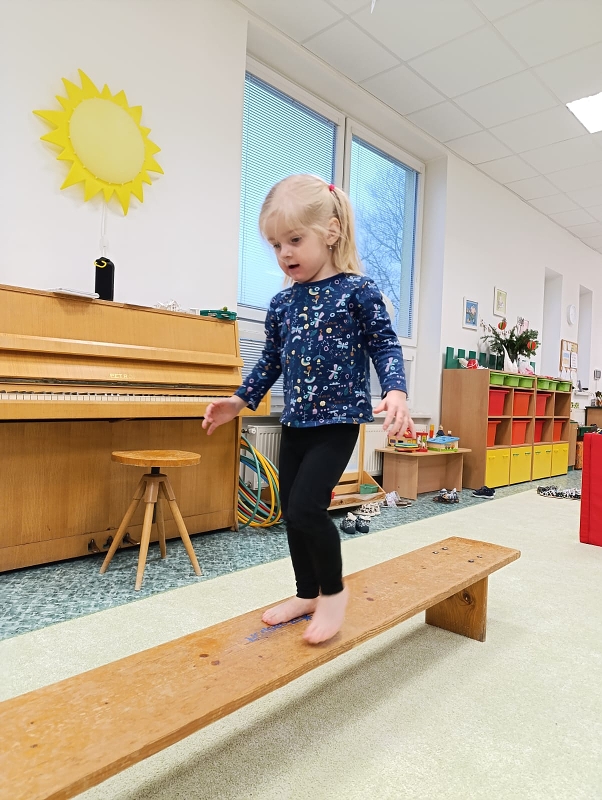 Zeleňásci - Předvánoční čas