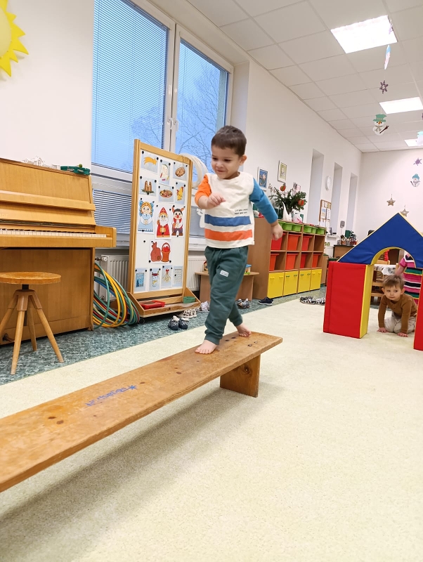 Zeleňásci - Předvánoční čas