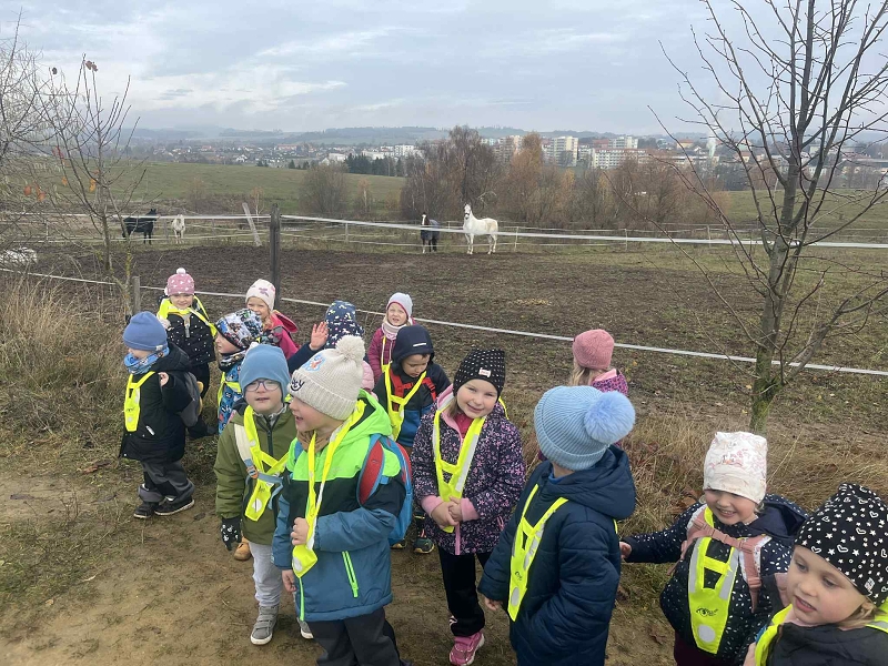 Žluťásci - Sv. Martin