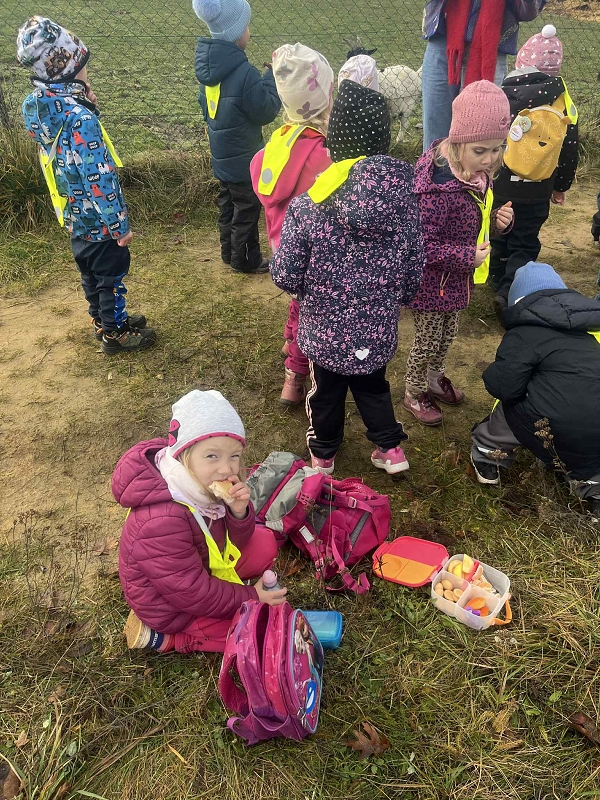 Žluťásci - Sv. Martin