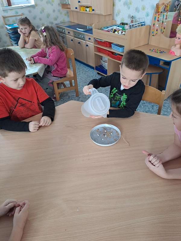 Když mrazíci příjdou a vrabčák hubuje- Modrásci