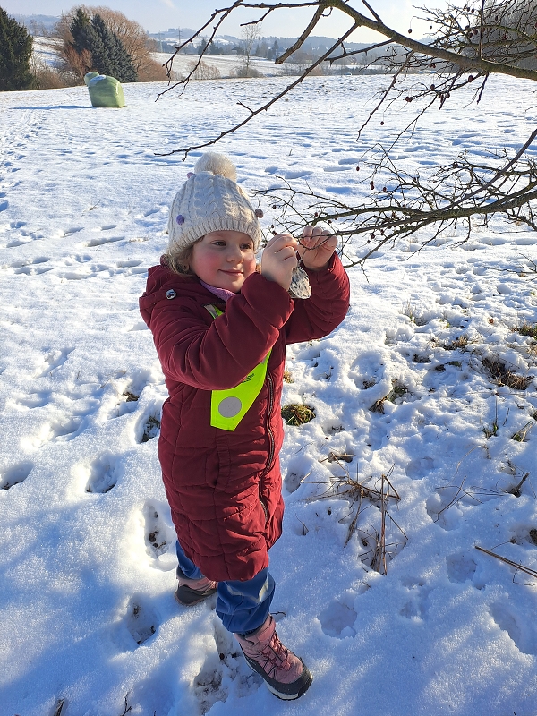 Když mrazíci příjdou a vrabčák hubuje- Modrásci