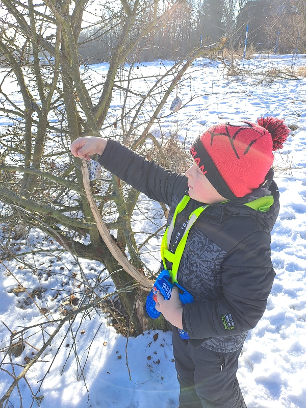 Když mrazíci příjdou a vrabčák hubuje- Modrásci