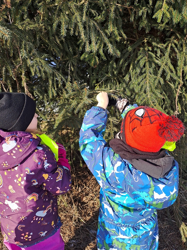 Když mrazíci příjdou a vrabčák hubuje- Modrásci