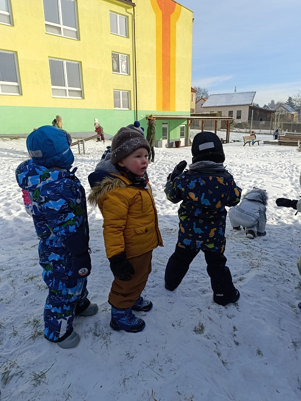 Zeleňásci - Tři králové