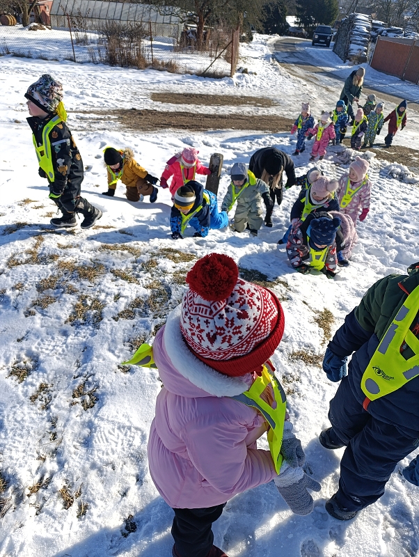 Zeleňásci - Zimní sporty