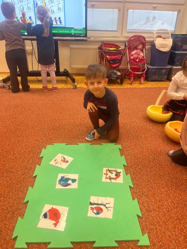 Žluťásci - Ptáčci v krmítku