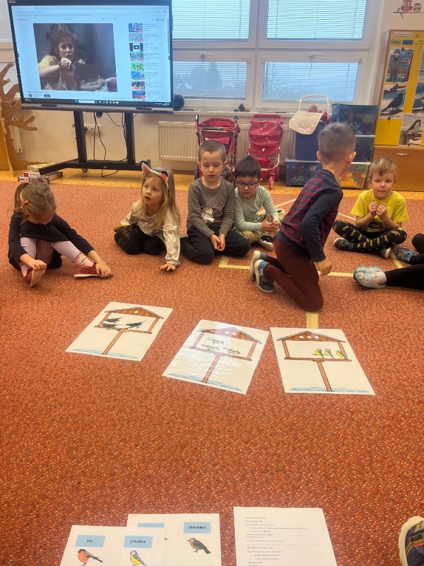 Žluťásci - Ptáčci v krmítku