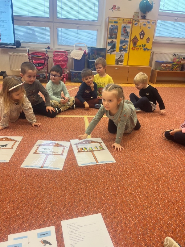 Žluťásci - Ptáčci v krmítku